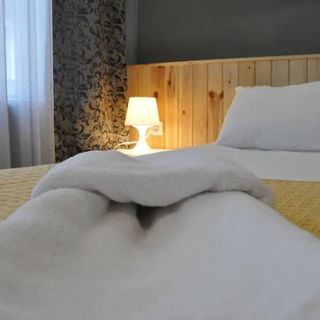 Rodin Hotell