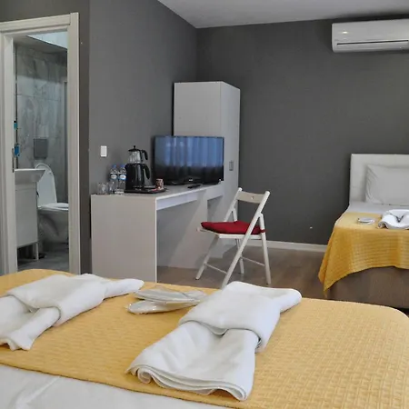 Hotel Rodin